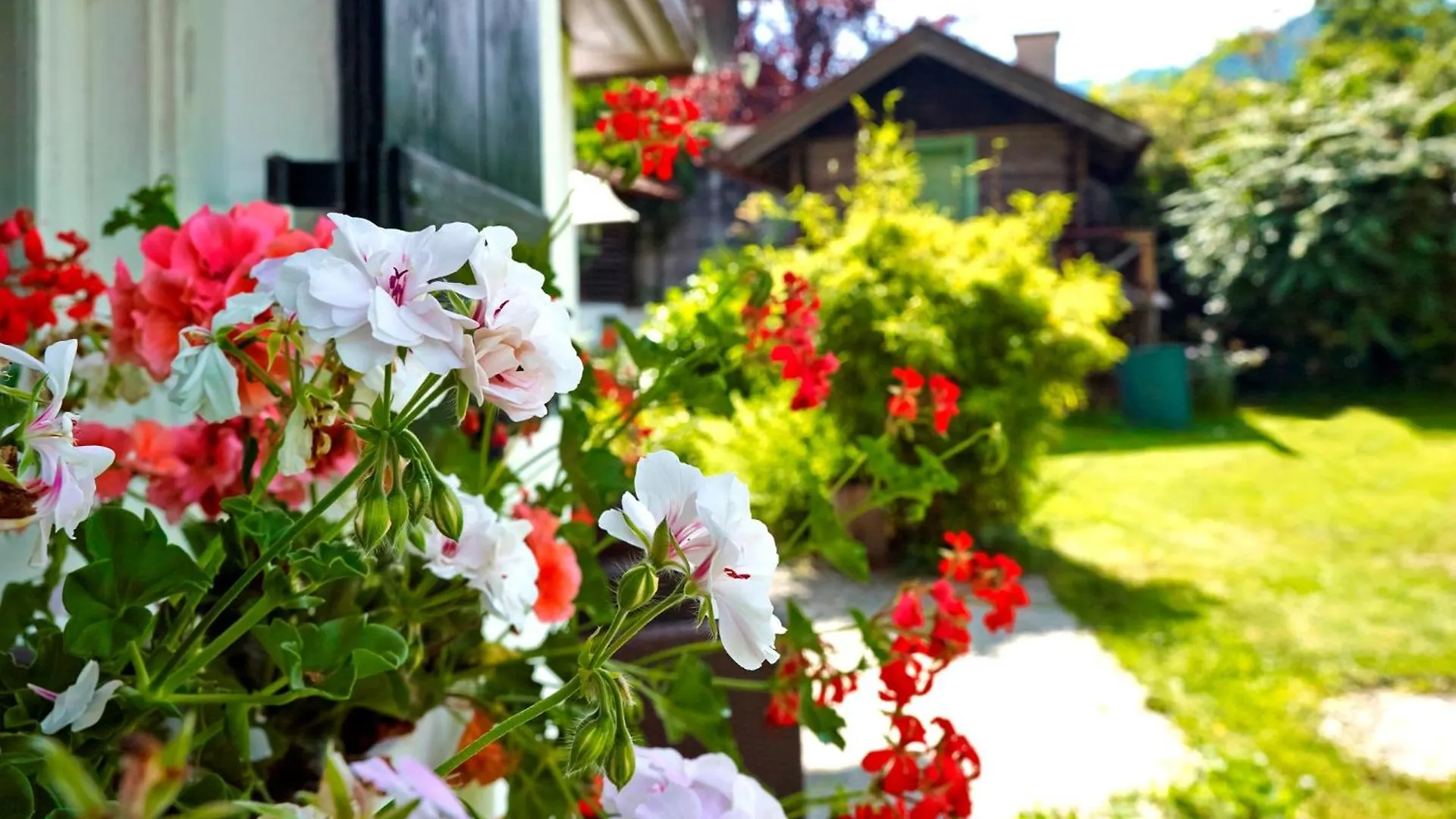 بيت للعطل Ferienhaus Waxenstein جارمش بارتنكيرشن